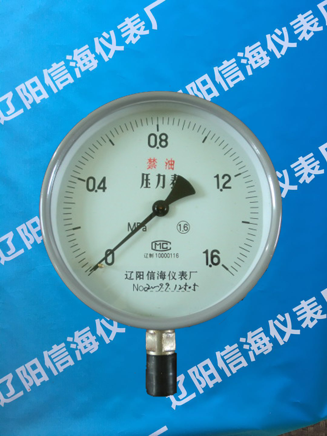 Y-100͉